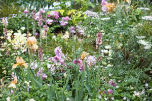 Planting design by Jo Thompson