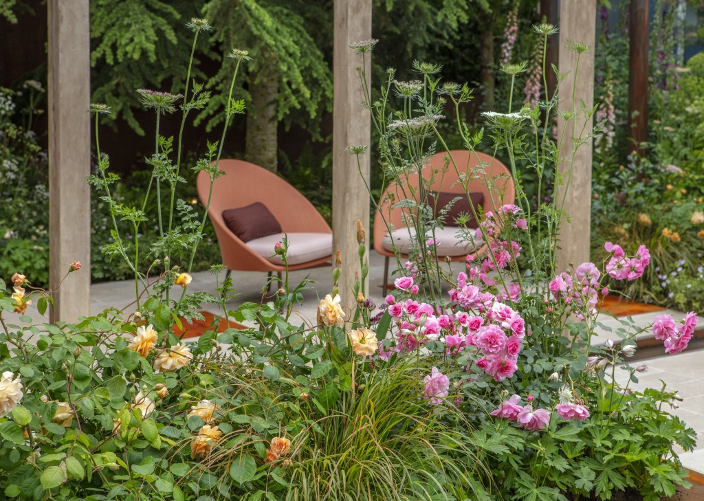 The Wedgwood Garden Rhs Chelsea Flower Show 2019 Jo Thompson Garden Designer