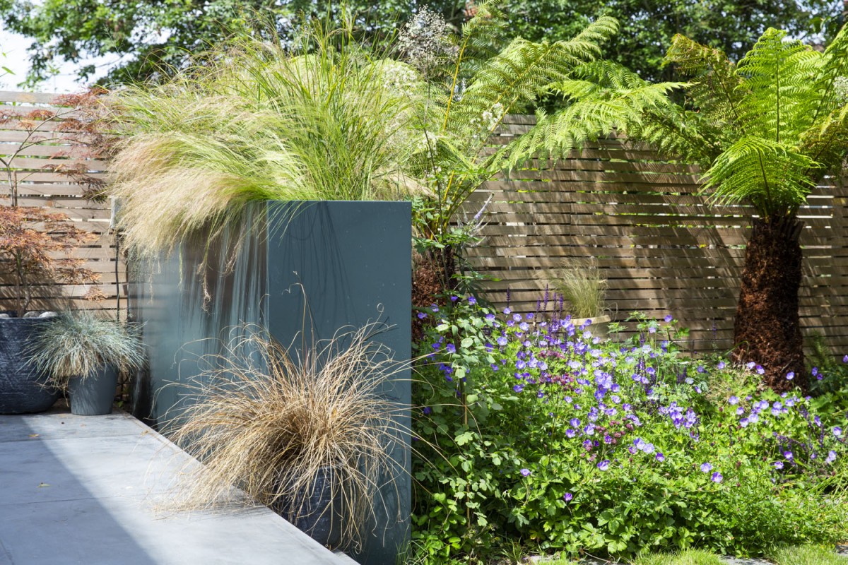 Crouch End, London - Jo Thompson Garden Designer