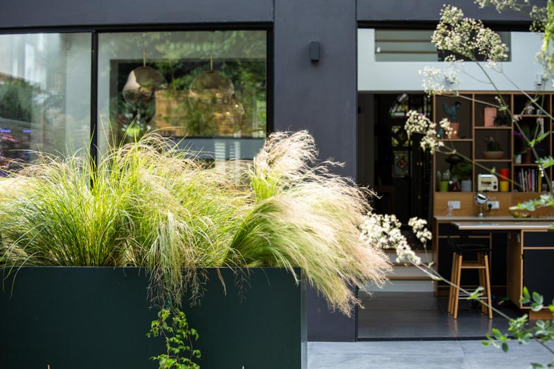 Jo Thompson garden design priavte house in Crouch end London july 2019