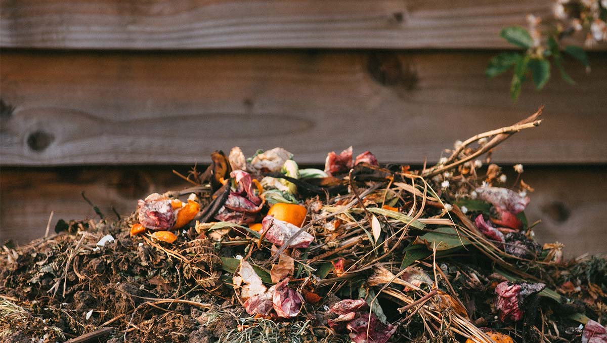 Making your own compost