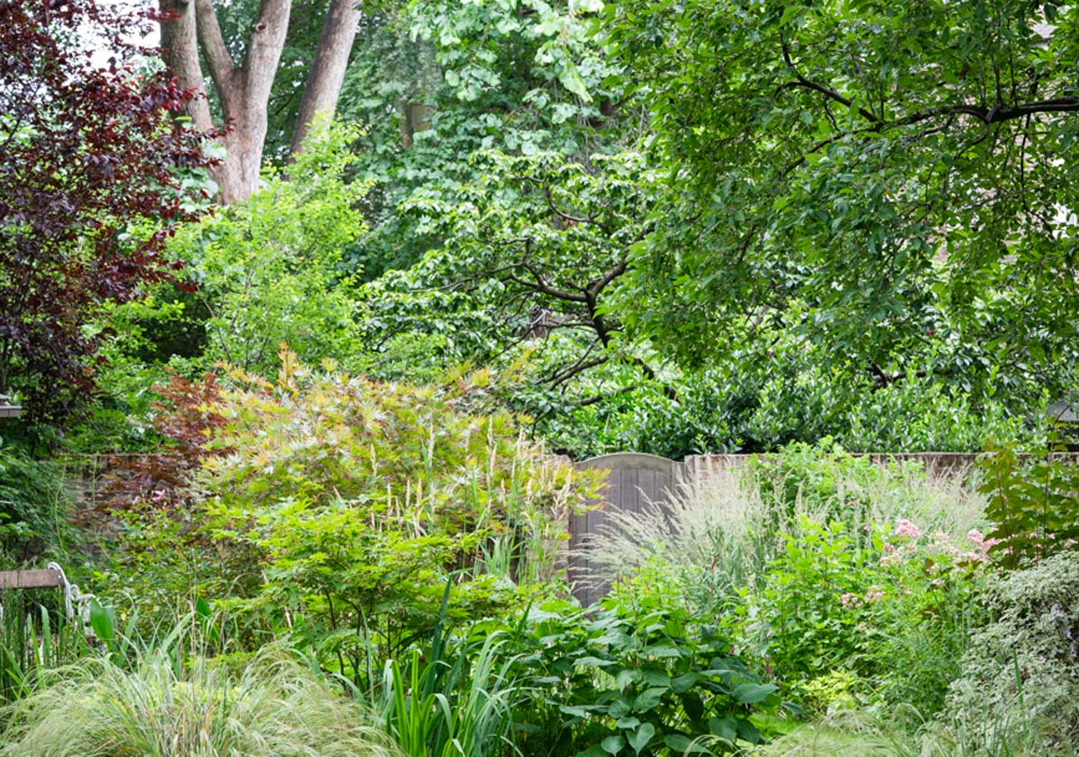 Grasses and shrubs provide privacy to London city garden