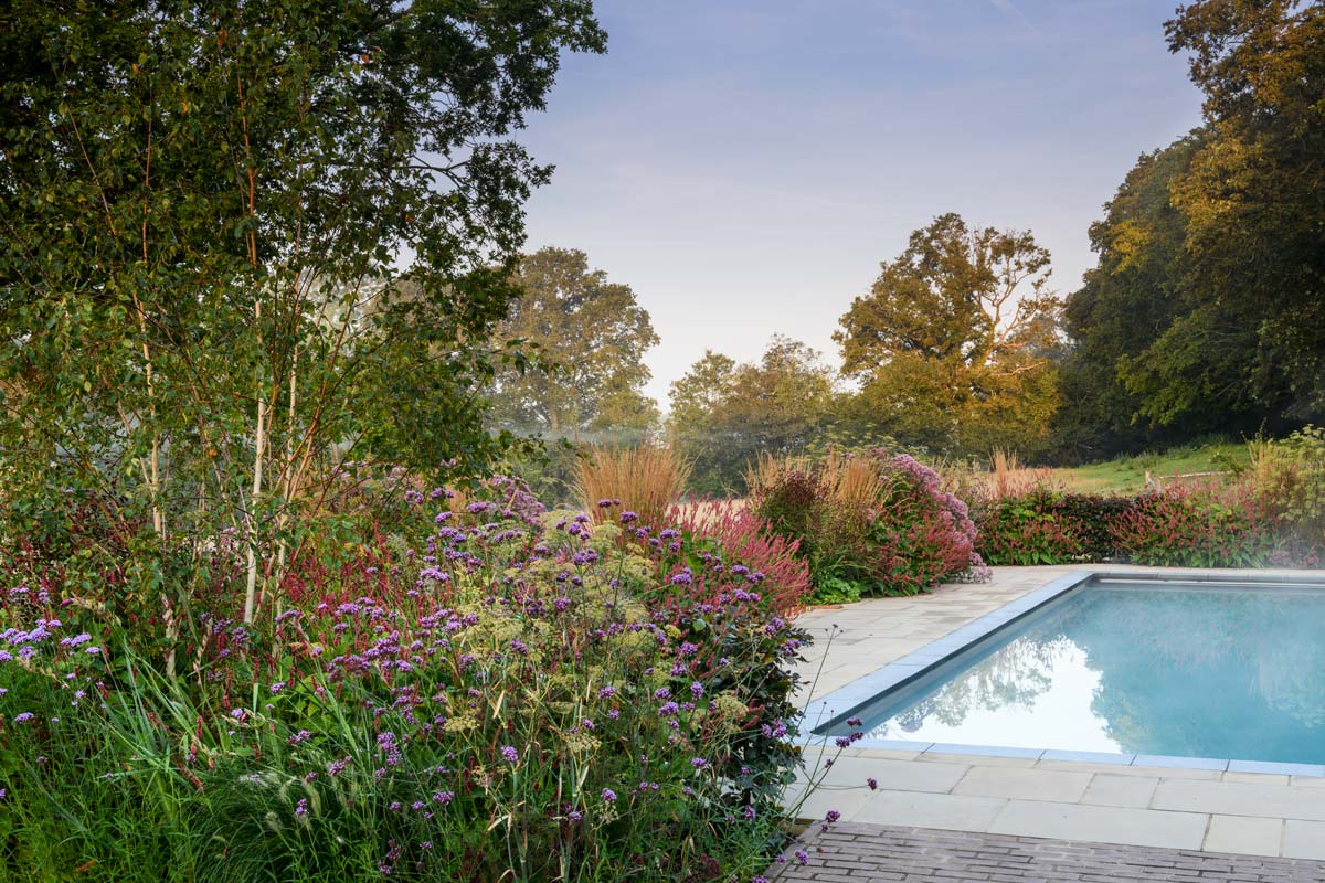 Kent garden with new swimming pool and flower beds