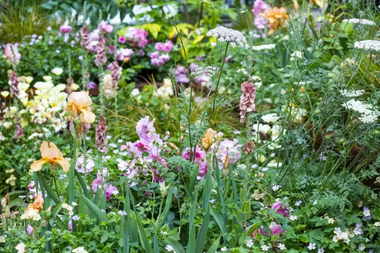 Wildlife Gardening talk at the Garden Museum